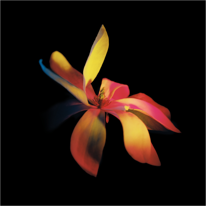Survivor 1 - LIMITED EDITION: 150