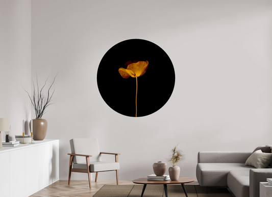 Rise - Circular