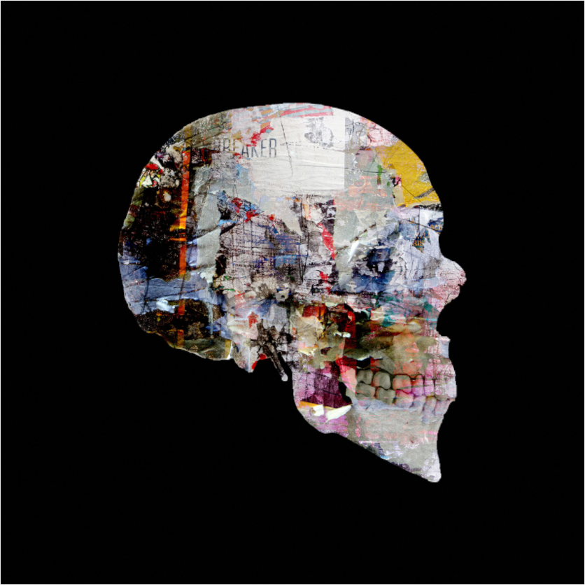 Skull 1 - LIMITED EDITION: 150
