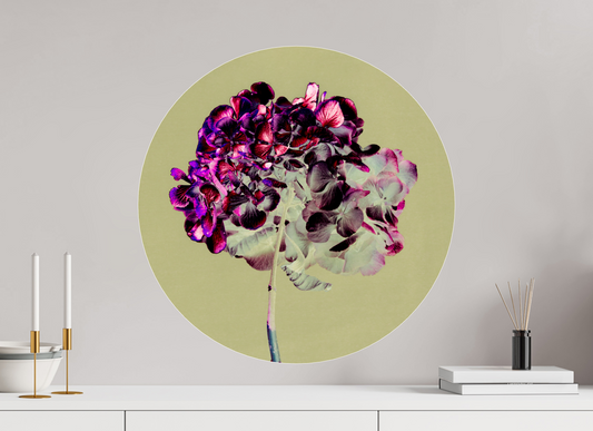 Hydrangea 2 - Circular