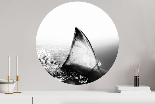 Shallow - Circular