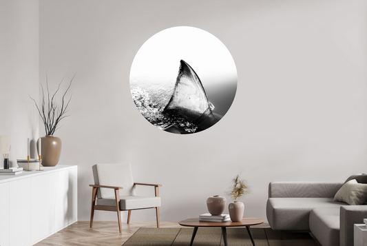 Shallow - Circular