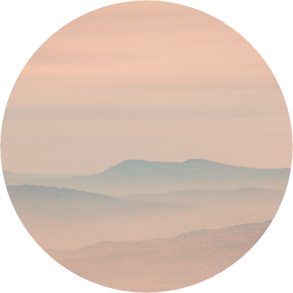 Beyond The Fog - LIMITED EDITION: 150