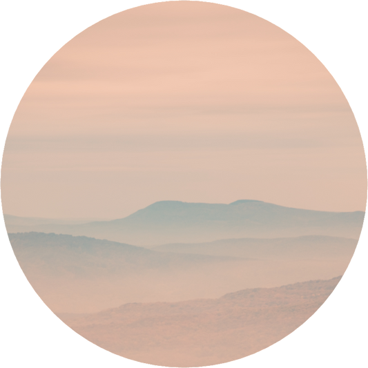 Beyond The Fog - LIMITED EDITION: 150