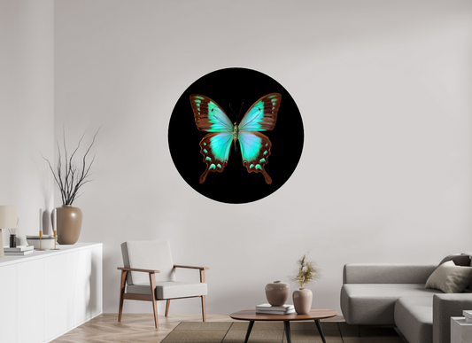 Fly - Circular